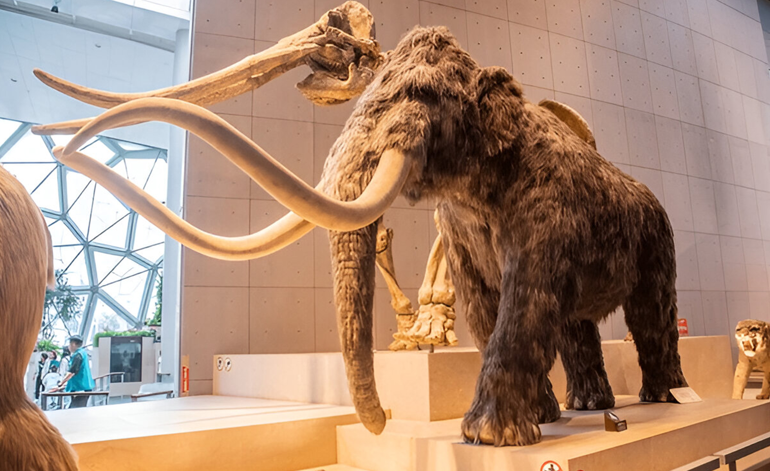 Wildlife conservation